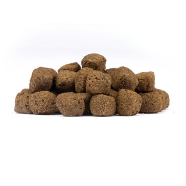 Wolfsblut Limited Ingredients Dark Forest, Adult, 1 kg, WB842266